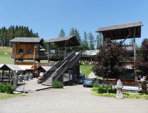 Wunderschöne Bilder einer Wanderung von unseren Hotelgästen